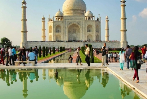 Visite privée du Tajmahal et du fort d'Agra au lever du soleil