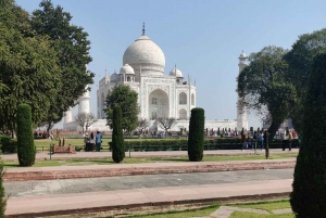 Visite privée du Tajmahal et du fort d'Agra au lever du soleil