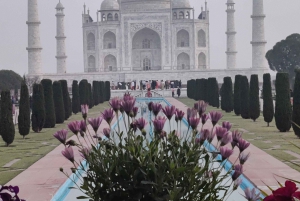 Tour Privado del Amanecer en Tajmahal y el Fuerte de Agra