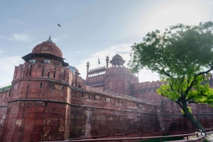 Red Fort Private Tour by car