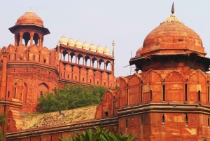 Biglietti elettronici con ingresso prioritario al Red Fort e guida ai trasferimenti a Delhi