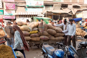 Spettacolo di luci e suoni del Forte Rosso con tour a piedi della Vecchia Delhi