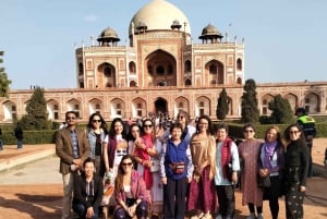 Delhi : visite privée d'une demi-journée ou d'une jounée de l'ancienne et de la nouvelle Delhi