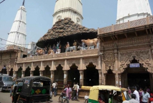 Mathura en Vrindavan Tour op dezelfde dag vanuit Delhi of Agra