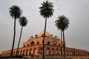 Privat omvisning i gamle og nye Delhi på dagstur eller halvdagstur