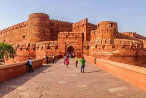 Same day Taj mahal & Agra Fort Tour with Elephant Sanctuary