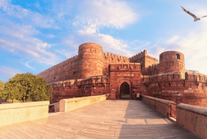 Same Day Taj Mahal, Fort & Baby Taj Tour from Delhi by Car