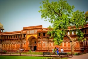 Same Day Taj Mahal, Fort & Baby Taj Tour from Delhi by Car