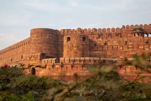 Tour del Taj Mahal in giornata da Delhi in auto - Escursione privata
