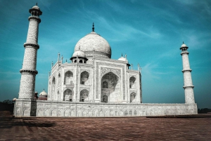 Tour del Taj mahal in giornata con il Santuario degli Elefanti SOS