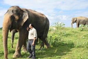 Same day Taj mahal tour with SOS Elephant Sanctuary