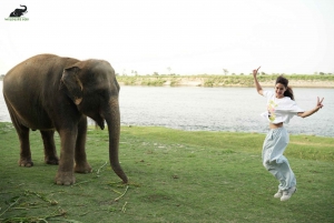 Samana päivänä Taj Mahal kiertue SOS Elephant Sanctuaryn kanssa