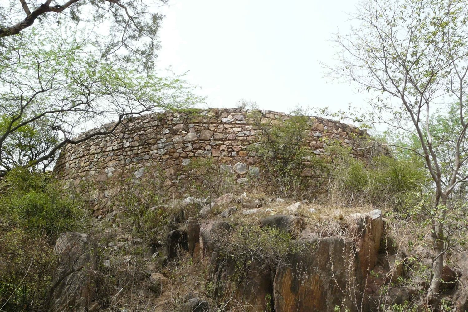 Secret and Spooky Ruins of Mehrauli Archaeological Park