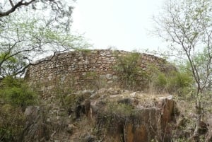 Secret and Spooky Ruins of Mehrauli Archaeological Park