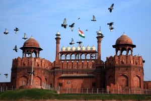 Tour guidato senza attesa dell'iconico Forte Rosso di Delhi