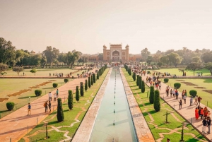 Skip-The-Line Taj Mahal Sunrise & Agra Fort Yksityinen kierros