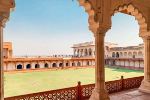 Skip-The-Line Taj Mahal Sunrise & Agra Fort Private Tour