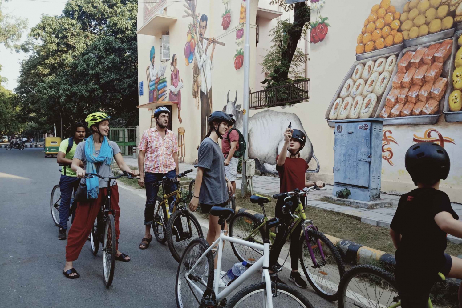 Sul de Délhi: tour particular de 3,5 horas de bicicleta com Masala Dosa