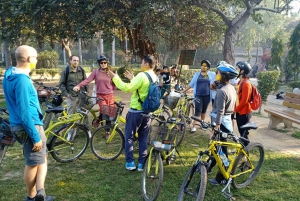 Södra Delhi: 3,5 timmars privat cykeltur med Masala Dosa