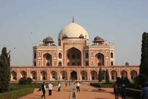 Süd-Delhi: 3,5-stündige private Fahrradtour mit Masala Dosa