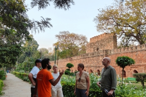 South Delhi Cycle Tour of Heritage, Art & Gardens