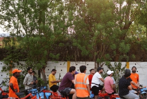 South Delhi Cycle Tour of Heritage, Art & Gardens