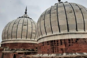 Tour a pie gratis por el casco antiguo y el mercado de especias de Delhi