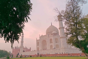Excursion d'une journée au Taj Mahal et à Agra au départ de Delhi en voiture - EXCURSION TRÈS BIEN NOTÉE