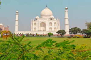 Excursion d'une journée au Taj Mahal et à Agra au départ de Delhi en voiture - EXCURSION TRÈS BIEN NOTÉE