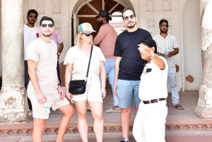 Тадж-Махал, Агра-Форт и Маленький Тадж: однодневная поездка из Дели на автомобиле