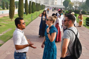 Тадж-Махал, Агра-Форт и Маленький Тадж: однодневная поездка из Дели на автомобиле