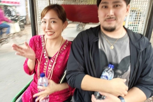 Taj Mahal, Agra Fort och Baby Taj: Heldagsresa från Delhi