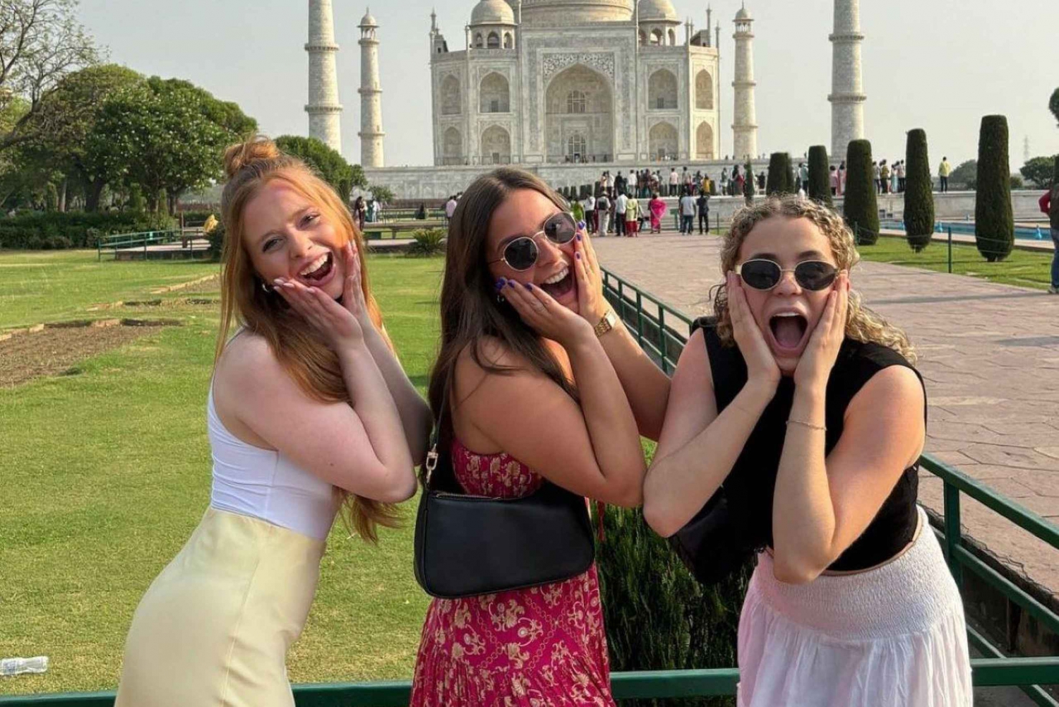 Tour privato del Taj Mahal da Delhi con opzioni per biglietti e pasti