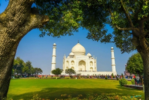 Taj Mahal, Agra Fort og Elephant Conservation Tour fra Delhi