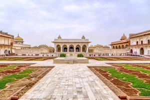 Excursão ao Taj Mahal, Forte de Agra e Conservação de Elefantes a partir de Deli