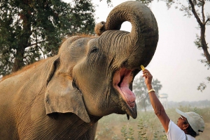 Visite du Taj Mahal, du fort d'Agra et de la conservation des éléphants au départ de Delhi