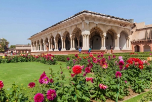 Taj Mahal, Agra Fort og Elephant Conservation Tour fra Delhi