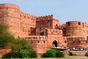 Taj Mahal, Agra Fort og Elephant Conservation Tour fra Delhi