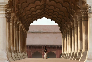 Taj Mahal, Agran linnoitus ja elefanttien suojelukierros Delhistä käsin