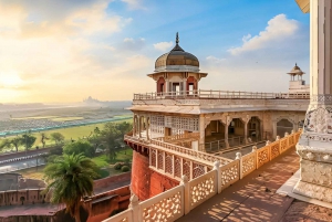 Visite du Taj Mahal, du fort d'Agra et de la conservation des éléphants au départ de Delhi