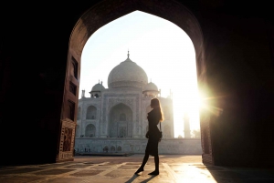 Taj Mahal, Agra Fort og elefantbevaringstur fra Delhi