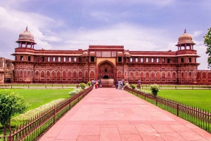 Visite du Taj Mahal et d'Agra avec entrée coupe-file et transfert