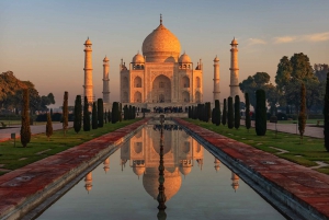 Visite du Taj Mahal et d'Agra avec entrée coupe-file et transfert