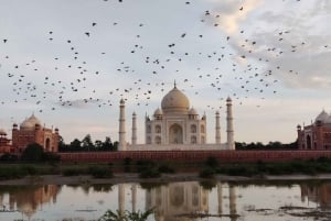 Vanuit Delhi: Taj Mahal, Agra Fort, Baby Taj privétour