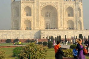 Taj Mahalin luksuskierros yksityisautolla, oppaalla ja 5 tähden lounaalla