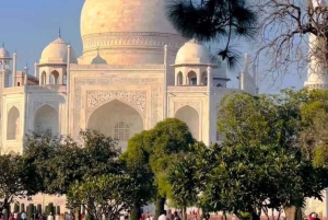 Taj Mahalin luksuskierros yksityisautolla, oppaalla ja 5 tähden lounaalla