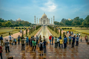 Taj Mahal: Tour condiviso di gruppo con trasferimento da Nuova Delhi