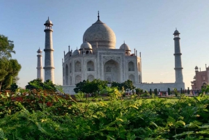 Delhistä: Auringonnousu Taj Mahal, Agran linnoitus ja Baby Taj -kierros