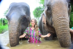 Von Delhi: Taj Mahal bei Sonnenaufgang, Agra Fort & Elefanten-Tour