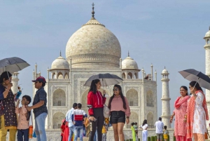 Von Delhi: Taj Mahal bei Sonnenaufgang, Agra Fort & Elefanten-Tour